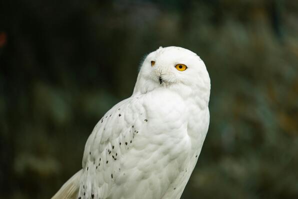 tesztel.a.naturtanya.hu